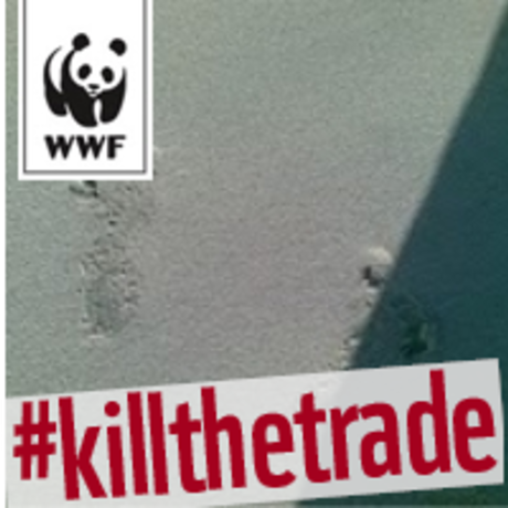 4f59a446bb281535ca92e8c64046c9bd