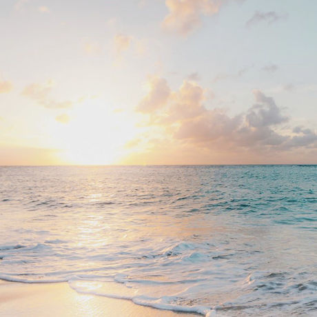 Ebd0f564 fe24 4711 9291 68d04641cc77