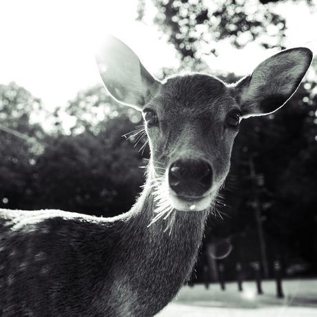 4328daa3 7b99 4e99 a352 5df9bd011f46