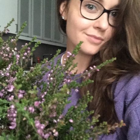 5281c86e ce9d 4f4f a2b5 ee5d160d85a3