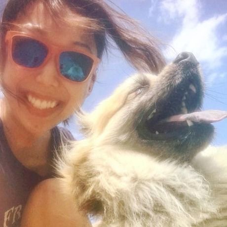 65290367 3518923223058 8688105810535907328 n