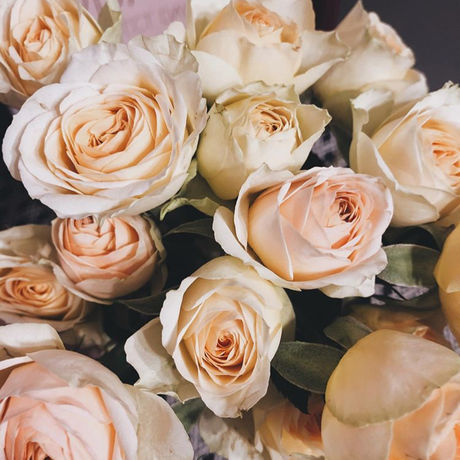 2945829e 7f3c 48ef 8ab5 36c112e68e87