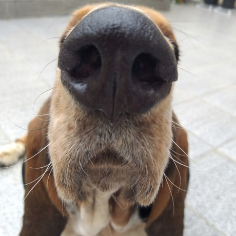 0eb22dda af59 4c67 b7cf 955ca7264a0f