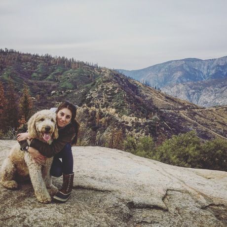 Fa35435c 73ac 441c 8fdc c782779c08cd