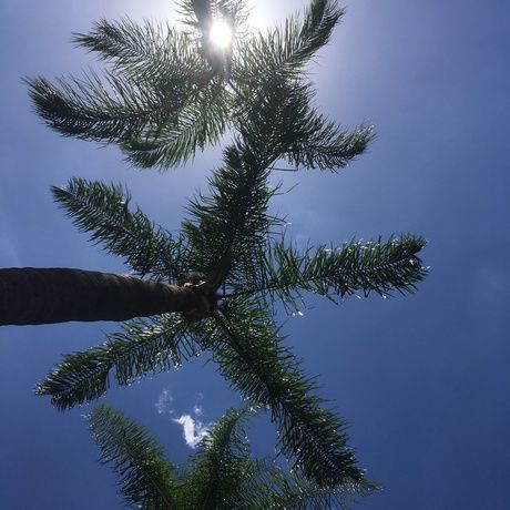 F7953145 f8a6 438a 9b28 875b2a996efb