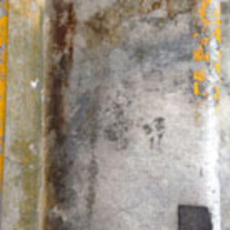 Asmithwaxman found in seattle 1