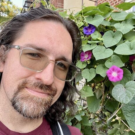 Tim morningglories square lowres