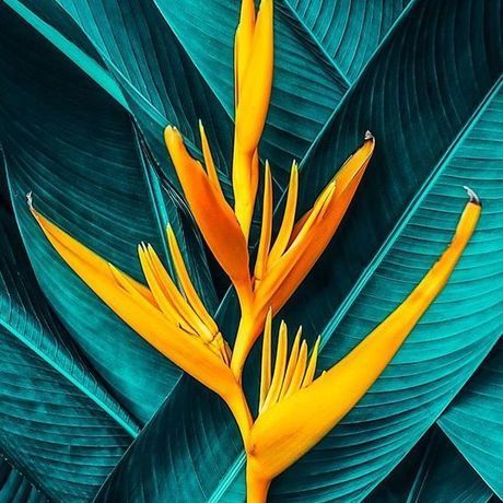 E23e006cd02949b21bdd7ff7088f7898