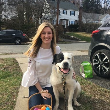 5c058783 bccf 4d93 a31c bd103d079945