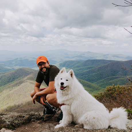 F42863b2 8c84 43ea 84df d65e0adf1280