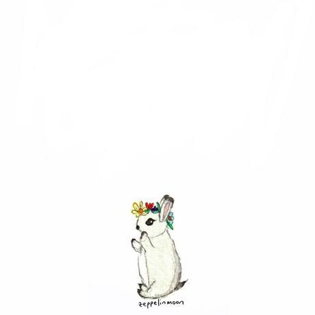 Photo 2019 10 05 20 56 08