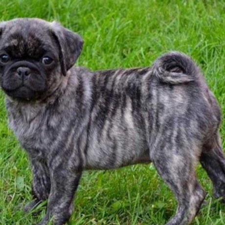 Screen shot 2019 11 08 at 11.54.26 am