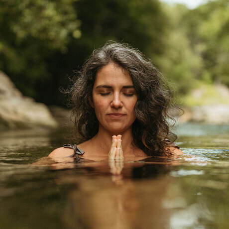 41fe4308 5c4d 4c3f abe0 b6b63dc930e3