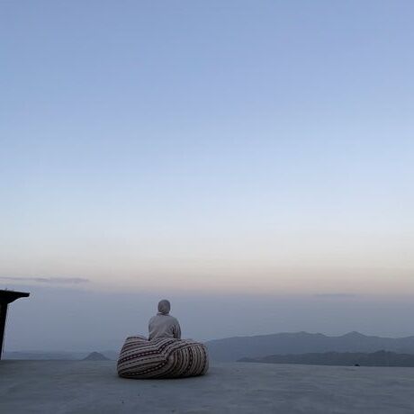 1156a48e 7786 4448 b2bb a87edbb12d1f