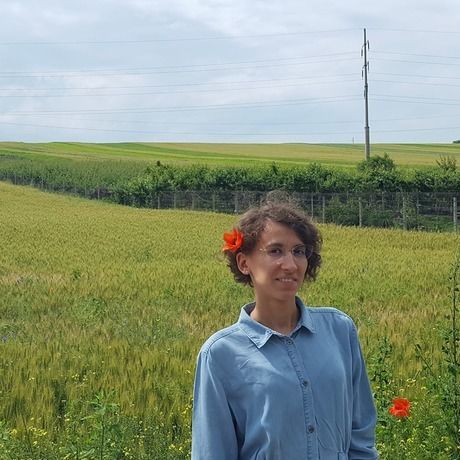 64239712 2177350135666471 122019771771256832 n