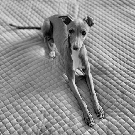 A52683e6 e9f5 47ad 8a0d 473189b3ccea