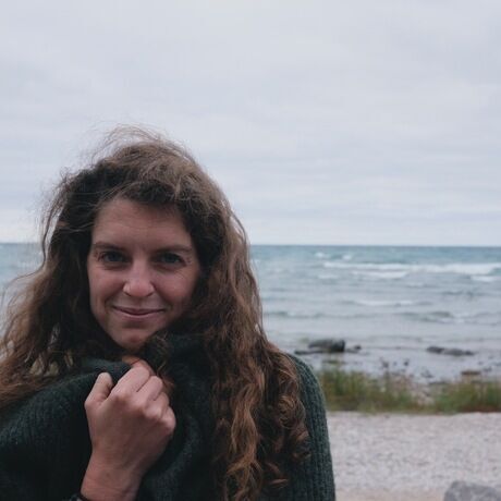 5d7e93f7 7dec 4246 817f bb2122493e0c