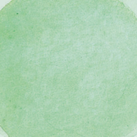 Ambient rentals watercolor