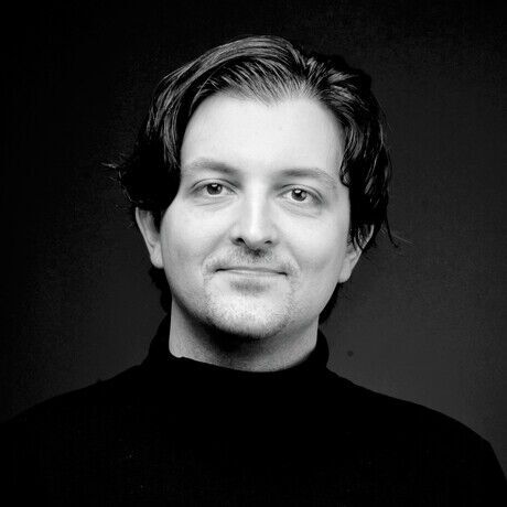 Vip 8931 smaller tighter crop   copy lighter  mirror 