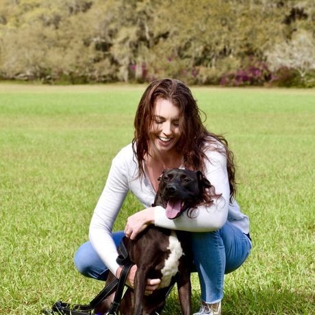 Ee01e8f7 13a9 4020 9e4f b141941fcd47