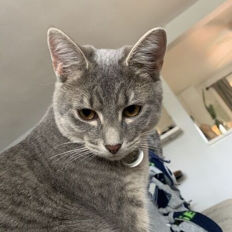 788ee7c5 e9f4 4b0f 8d9f e6c5ad1fa089