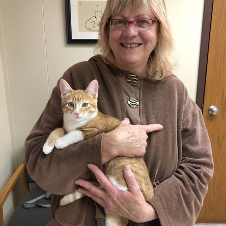 099079a6 ad86 452e 993b e36684b48c3a