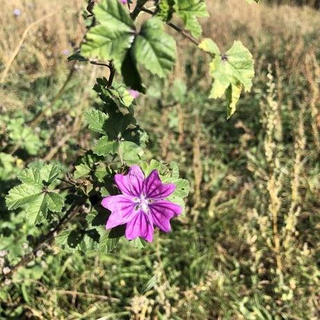 8f58ba59 100f 41dd b28b f0ef3c9de486