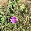Small 8f58ba59 100f 41dd b28b f0ef3c9de486