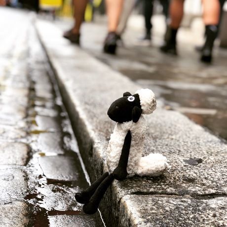 Bbe3c971 8867 4431 9ce6 e17adf9d0fc7