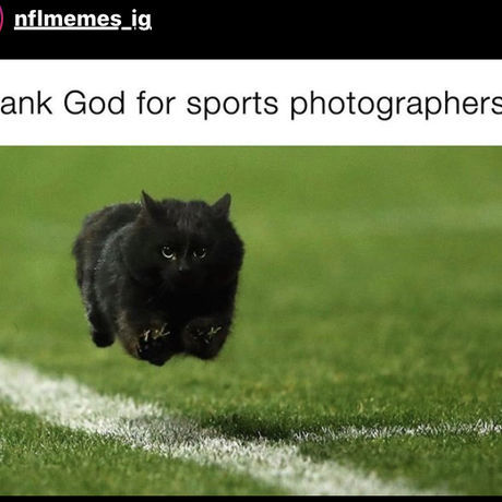 6ad1c249 a941 4022 81ae 4af610d8fb08