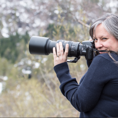 Screen shot 2020 03 03 at 11.59.09 am