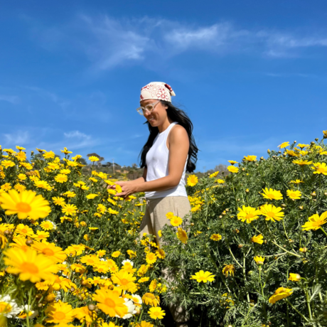 E3b564e5 847b 46c1 9504 c03642e9a963