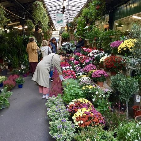 Cd861c08 2eff 49f5 a94e fff470c4e347