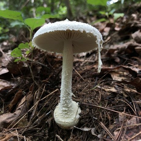 31414b2a aca1 4476 ba10 b6a6d2847ef0