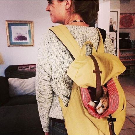 10275913 10103182045192807 4077959301996556615 n