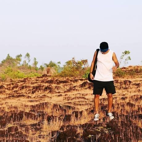 18557043 1445440562185098 5380601306694758620 n