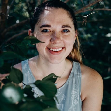 Fd9529e3 9aaf 431d b459 6db22074b6db