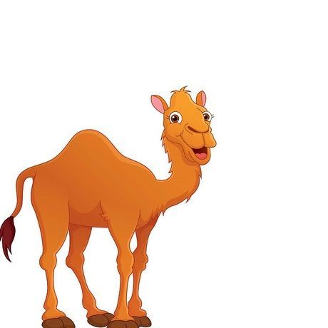 Camel clipart 6