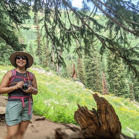 Ff1a92e1 26f4 4173 8a2e b662fa58d15d