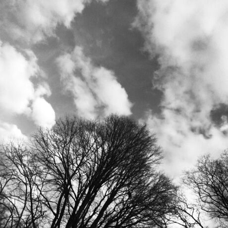 4f8b0aa5 e08c 4ad1 a8b6 145e09289675 1 201 a