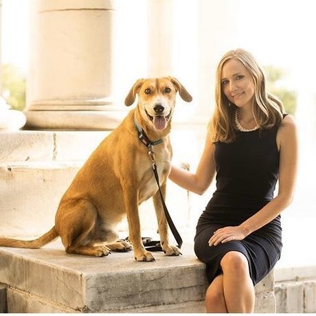 70d7d9da a2b3 4410 8911 f3f3454508c3