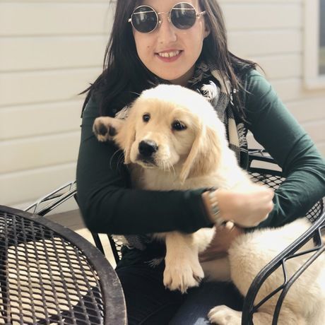 86b941ab 04d3 474c b1bd f084e4d49645