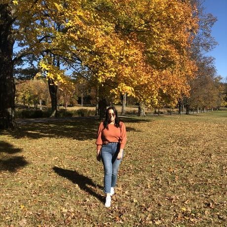 9c17ba0e 9776 4489 94ae cf97ea91ee31