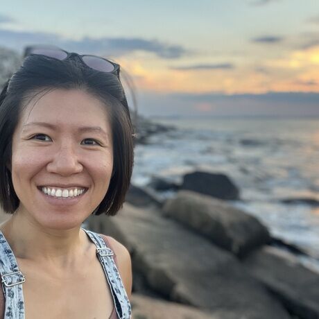 D6ce29c9 91e6 4df2 a69f 343b05627ba9