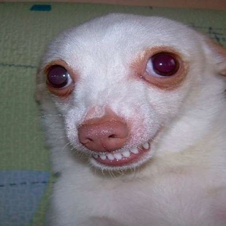 3a2699d4 4f0f 4a0a bcfe 93c64f961817