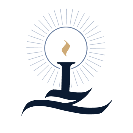 Leo shallat   logo   blue 500px 02