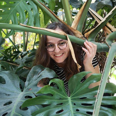 Img 20191005 1638531