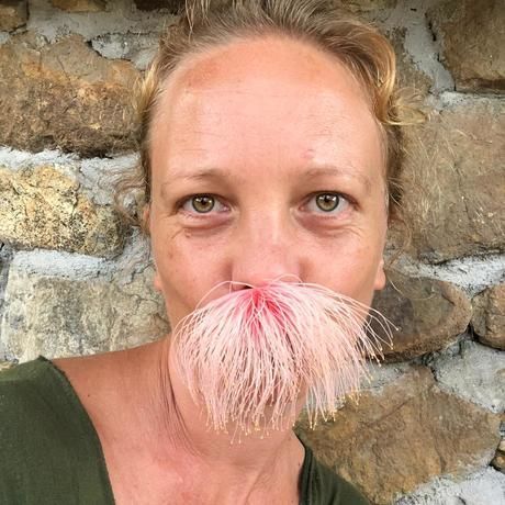 B9827548 d004 495f 8302 4653598b0e67