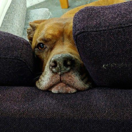 Img 20200108 150109 013