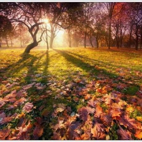 Autumn 29